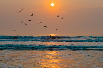 Plakat Scenic seascape, sunset over the ocean. Tranquil scene, beautiful sun reflection and flock of birds