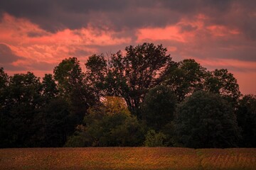 This image shows a glowing pink sky as the sun sets over secluded, tree lined fields.