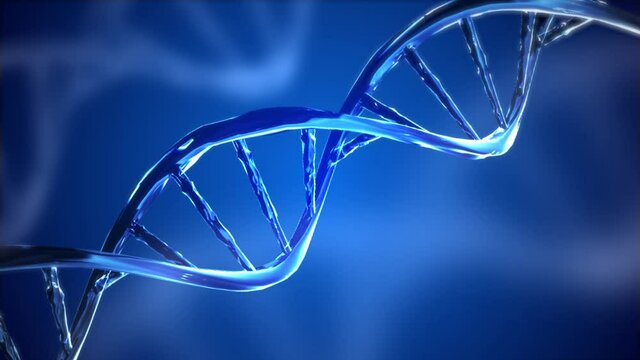 Digital DNA genome double helix animation. future bio technology, medicine, gene therapy, engineering, AI synergy Genetics biology, biotechnology, chemistry, science, cosmetics, Medical Presentation.