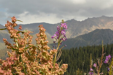 Mountains of Kazakhstan in early autumn