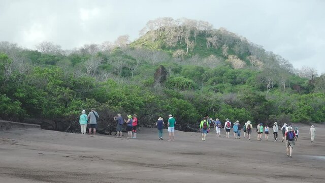 Tourists Walking Along Espumilla Beach in front of Desert Vegetation and Mountain in the Galapagos Islands
