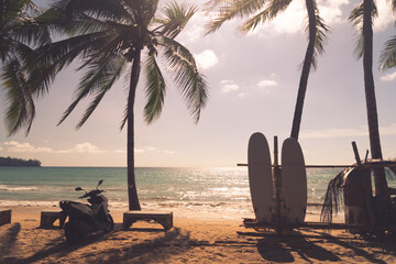 Surfboards beside coconut trees at summer beach.