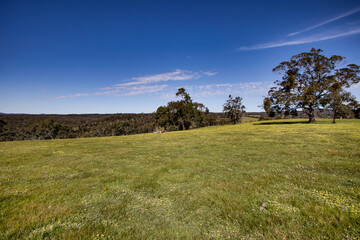 Obraz premium Rural Landscape - Spring Flowers - Countryside - Farm Land - Blue skies