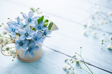 ブルースターとかすみ草　青い花の背景素材