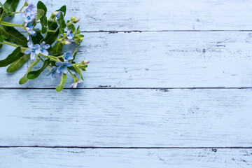 青い花　ブルースターの木目背景フレーム