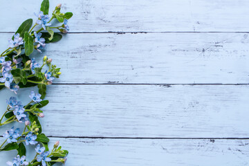 青い花　ブルースターの木目背景フレーム