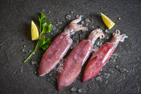 Raw squid on ice with lemon on the dark plate seafood market fresh squids octopus or cuttlefish for cooked food salad restaurant
