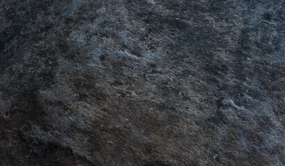 Abstract grunge dark concrete background