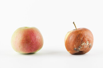 fresh red apple opposite rotten apple on a white background.