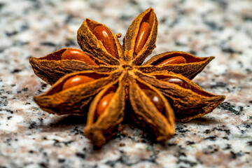 star anise isolated on white background