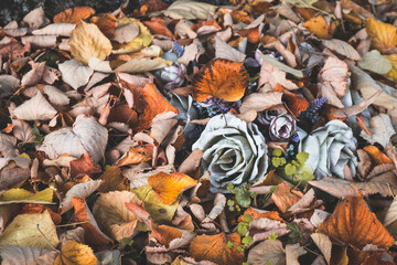 Artificial cemetery rose flower in dry autumn or fall leaves foliage as death, peace, oblivion and tranquility in afterlife scene, All Saints Day, All Souls Day or loss and sadness on tombstone