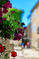Picturesque streets of Old town Budva with a view of the Adriatic sea and bokeh flowers in the foreground in Montenegro