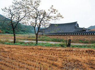 Korean traditional architecture, tile-roofed house