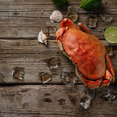 whole cooked crab with lime, ice cubes and seashells on wooden background. Seafood concept....