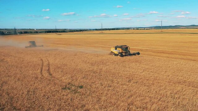 Agricultural machine are riding along the field and reaping wheat