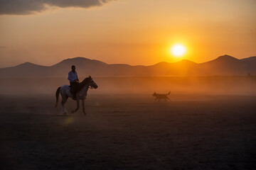 Wild horses run in foggy at sunset. Between Cappadocia and Kayseri, Turkey