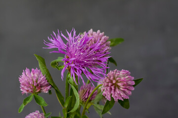 Obraz premium A bouquet of purple flowers in a yellow vase on a dark background.
