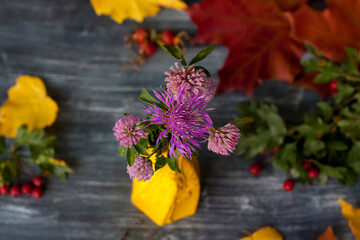 A bouquet of purple flowers in a yellow vase on a dark background.