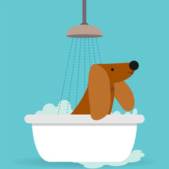 Brown dog taking a bath with soap foam