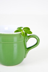 mug and mint herb