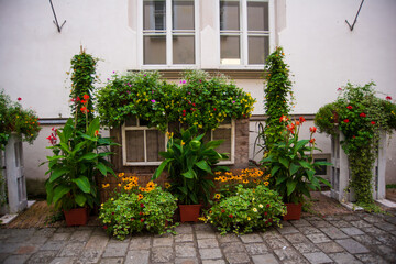 Fototapeta na wymiar View of a house front decorated with flowers