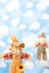 Fototapeta premium wallpaper and scarecrow