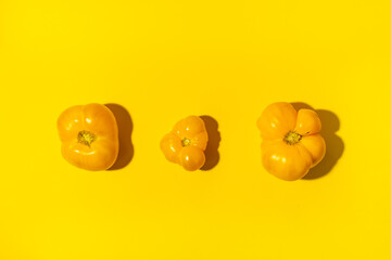 Three yellow different sizes and forms farm tomatoes laid out in row in center of bright yellow background with copy space. Top view, flat lay. Healthy natural food. Sustainable consumption.