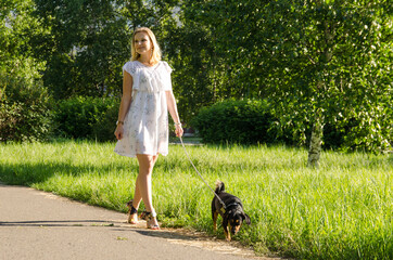 Beautiful blonde young woman with a cute dog for a walk in the summer evening in the park