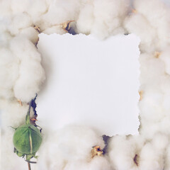 Creative layout made of cotton flowers and paper card note. Nature and organic. Flat lay with copy space