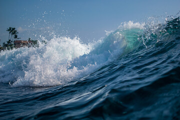 Obraz premium wave of the sea