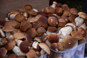 Porcini mushrooms for sale in small baskets in a street food market 