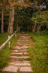 Steps to a hiking trail in the Blue Ridge Mountains