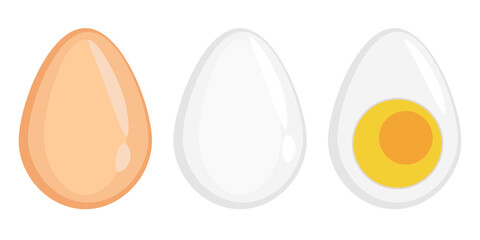 Fototapeta premium Egg. A chicken egg in a shell, without a shell, cut in half. Vector illustration isolated on a white background for design and web.