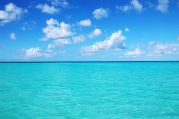 Fototapeta na wymiar Piscina Natural, sand bank with crystal clear water next to Isla Saona in the Dominican Republic