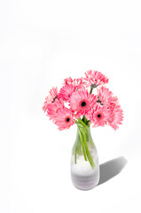 Pink gerbera flowers in vase isolated on white