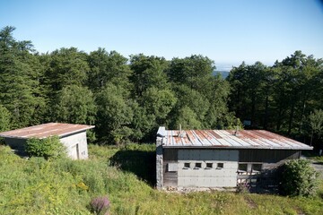 ruined house in the wood