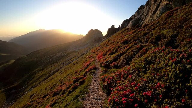 Hiking on a trail at sunrise in the mountains (Esquerdes de rotja, Pyrenees Mountains)