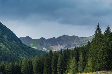 high mountains with forest in the foreground