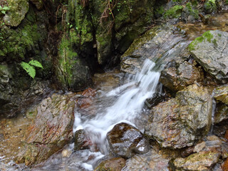 埼玉県の渓流の清らかな流れ