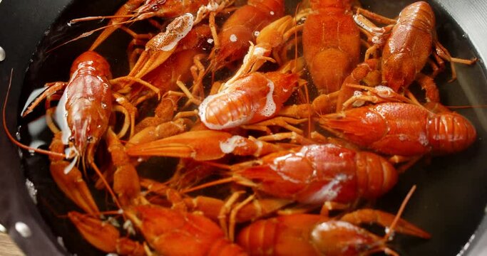 Crayfish are boiled in water in a saucepan. 
