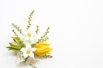 yellow flower ylang ylang with white flowers local flora of asia arrangement flat lay postcard style on background white wooden