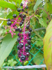 한국 울산 동구 동해안로 산책길
Donghaean-ro promenade in Dong-gu, Ulsan, Korea