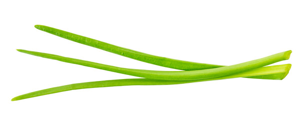 green onion with clipping path - obrazy, fototapety, plakaty