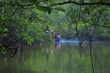 Fototapeta na wymiar passenger boats passing on rivers and mangrove forest areas