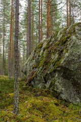 Moss covered stone in the forest 