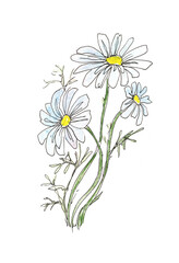 White Daisy flower graphic illustration with watercolor elements on a white and yellow background for printing on a t - shirt.The illustration can be used to decorate things and walls.