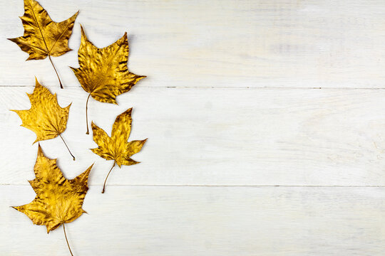 Autumn bouquet of golden painted maple leaves on wooden background. Trendy concept. Flay lay in minimalism style.
