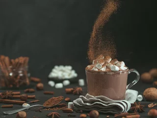 Fototapeten Handgestreutes Zimtpulver auf Glasbecher mit heißem Schokoladen-Kakao-Getränk. Platz kopieren. Dunkler Hintergrund. Unaufdringlich. Konzept für Winterspeisen und -getränke. © fascinadora