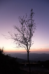 silhouette at sunset