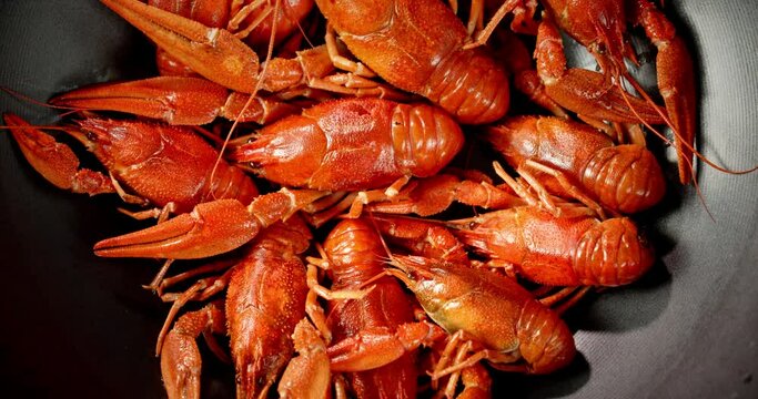 Cooked crayfish in a saucepan rotate. 